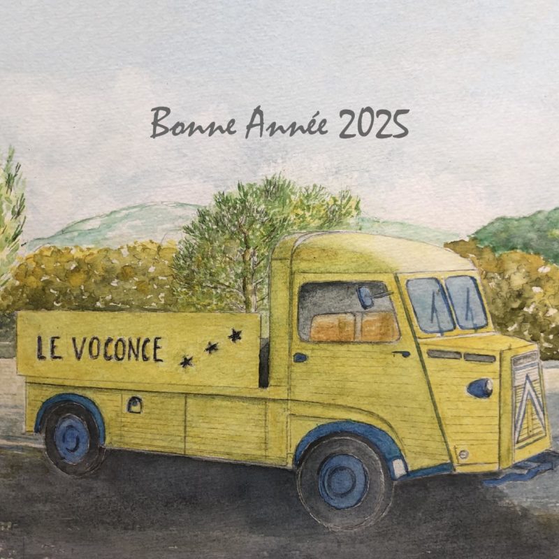 Bonne année 2025